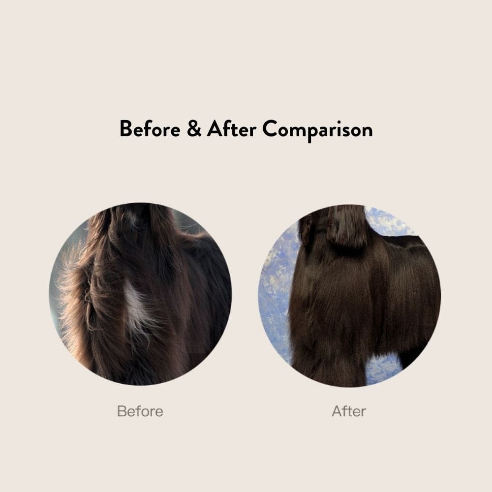 Siberian Gherkin Skin & Hair Conditioner for Long Haired Dogs and Cats