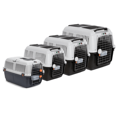 Bracco Pet Carrier Bracco Travel Crate Pet Carrier for Dogs & Cats, Size 3
