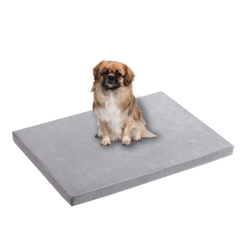 Solid Top Wooden Dog Crate, White