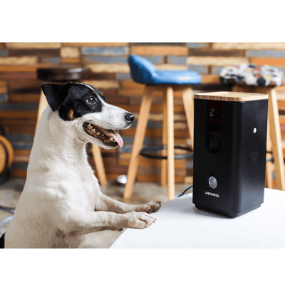 Dogness Automatic Pet Feeder Dog Camera & Interactive Treat Dispenser, Black