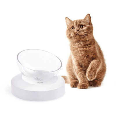 Elspet Pet Feeder Elspet Adjustable Single Raised Cat Bowl
