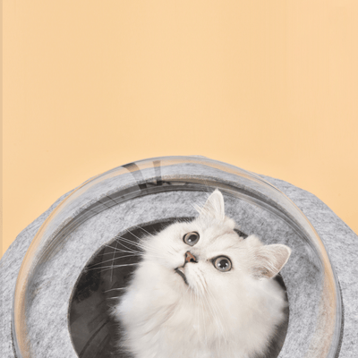 Furrytail Cat Bed Michu Space Capsule Designer Cat Bed, Navy Blue