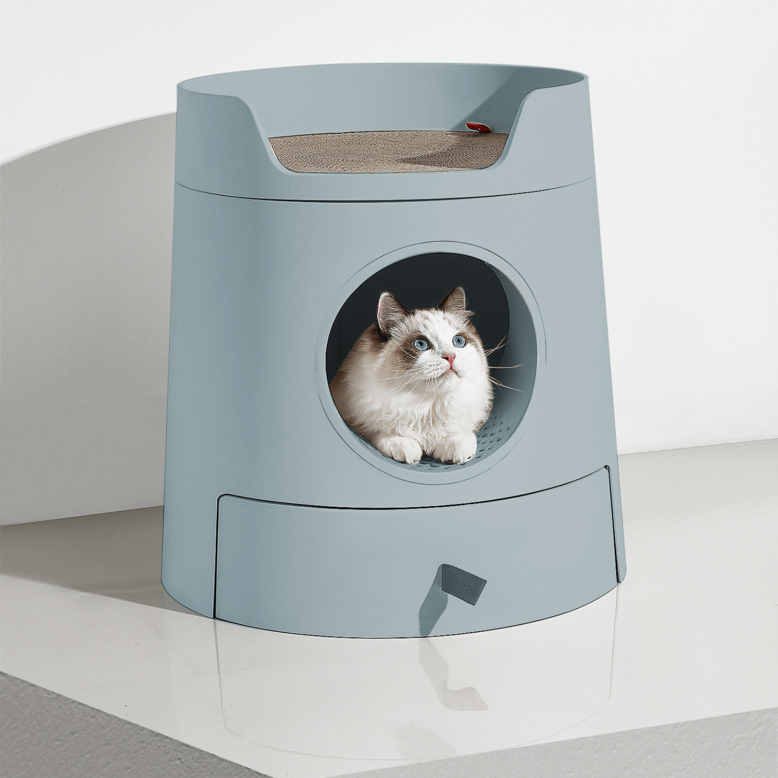 Cat litter box that scoops itself cheap