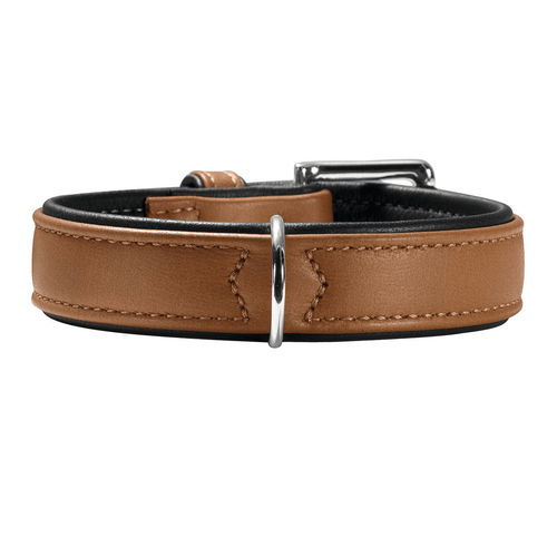 Dog Collars