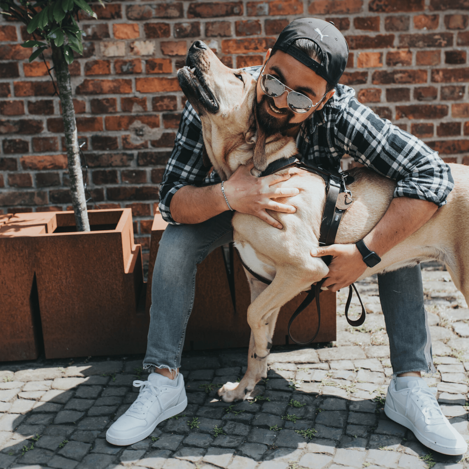 Hunter International Dog Collar Hunter Aalborg Soft Genuine Leather Dog Harness, Dark Brown