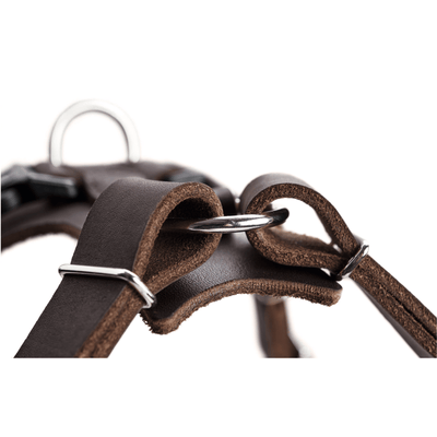 Hunter International Dog Collar Hunter Aalborg Soft Genuine Leather Dog Harness, Dark Brown