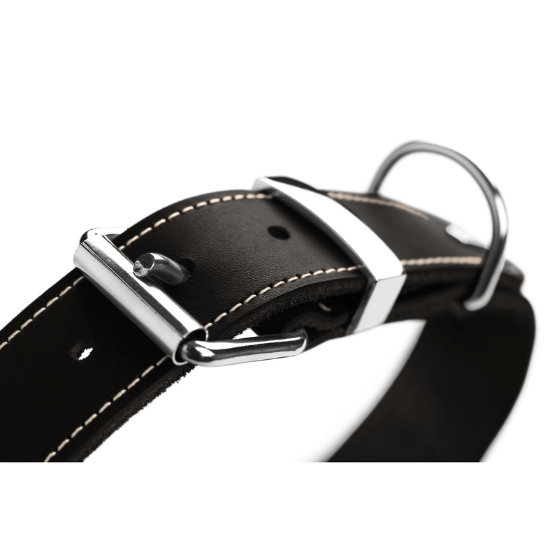 Hunter International Dog Collar Hunter Aalborg Special Leather Dog Collar, Black