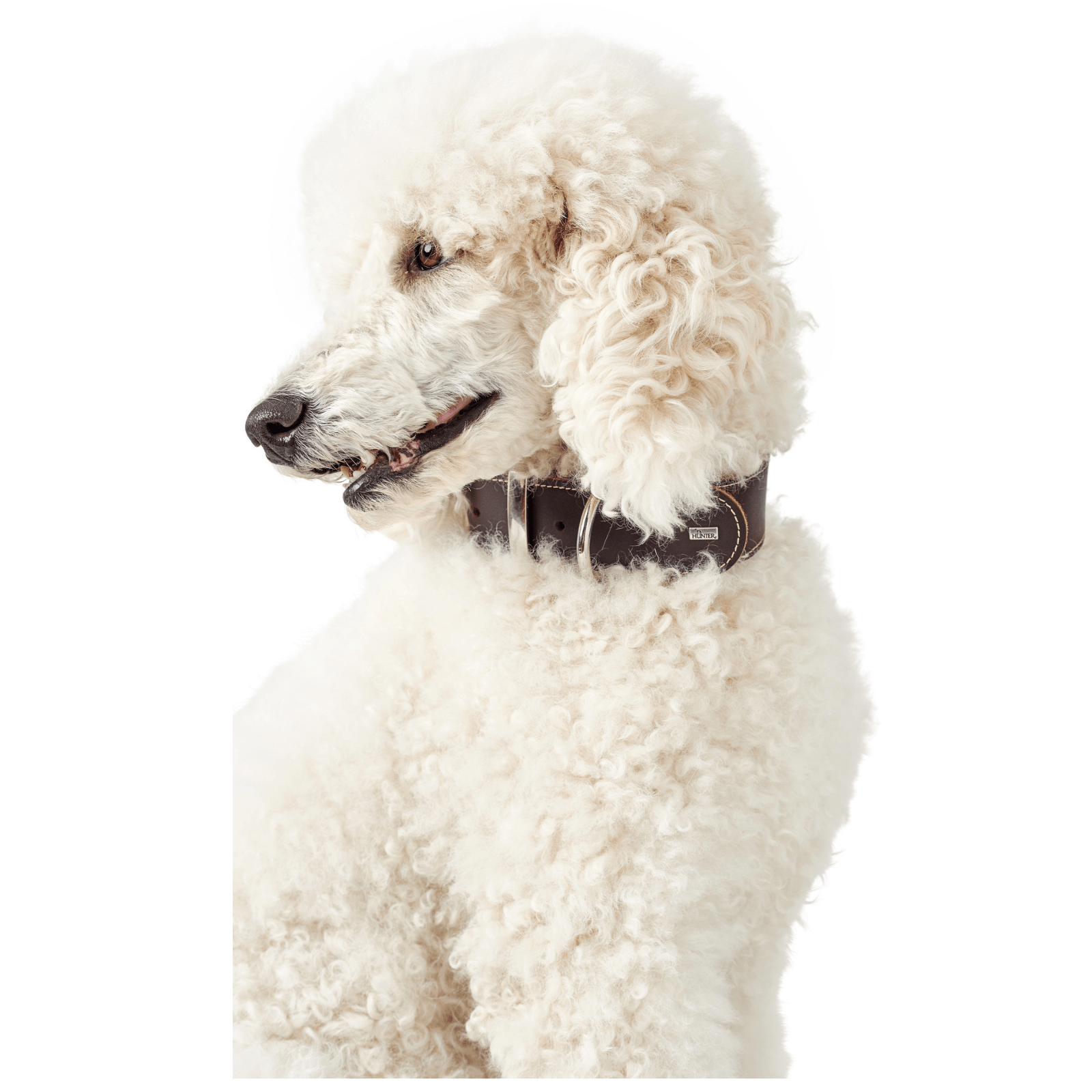 Hunter International Dog Collar Hunter Aalborg Special Leather Dog Collar, Dark Brown