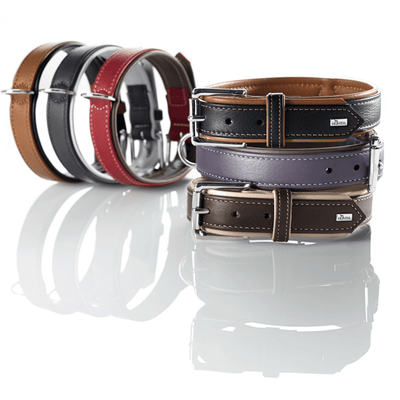 Hunter International Dog Collar Hunter Canadian Elk Leather Dog Collar, Black