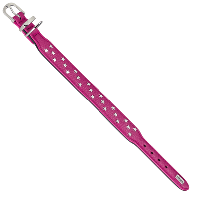 Hunter International Dog Collar Hunter Capri Mini Stars Leather Dog Collar, Small to Medium Breeds