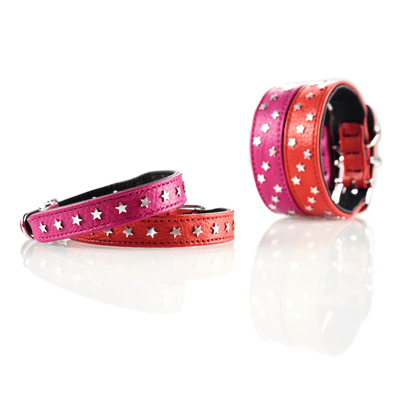 Hunter International Dog Collar Hunter Capri Mini Stars Leather Dog Collar, Small to Medium Breeds