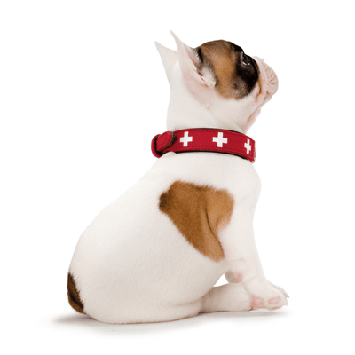 Hunter International Dog Collar Hunter Classic Swiss Leather Dog Collar
