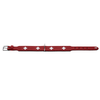 Hunter International Dog Collar Hunter Classic Swiss Leather Dog Collar