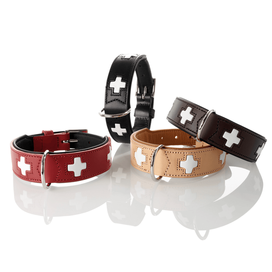 Hunter International Dog Collar Hunter Classic Swiss Leather Dog Collar