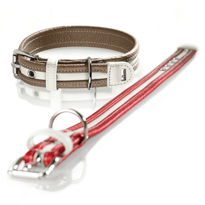 Hunter International Dog Collar Hunter Collar Madeira Leather Dog Collar, Medium to Large Breeds
