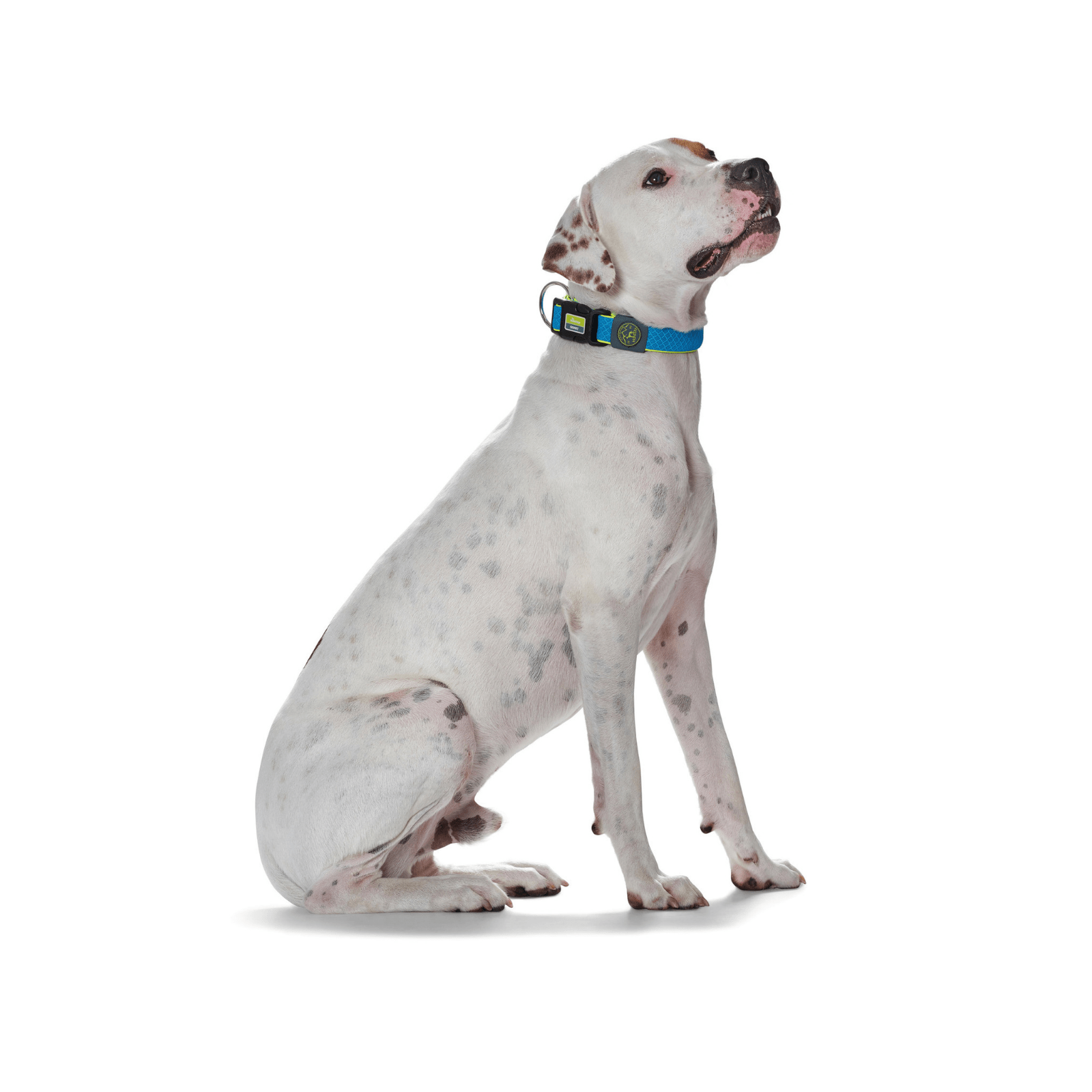 Hunter International Dog Collar Hunter Maui Vario Plus Dog Collar Heavy Duty Clasp Buckle