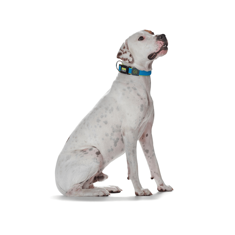 Hunter International Dog Collar Hunter Maui Vario Plus Dog Collar Heavy Duty Clasp Buckle