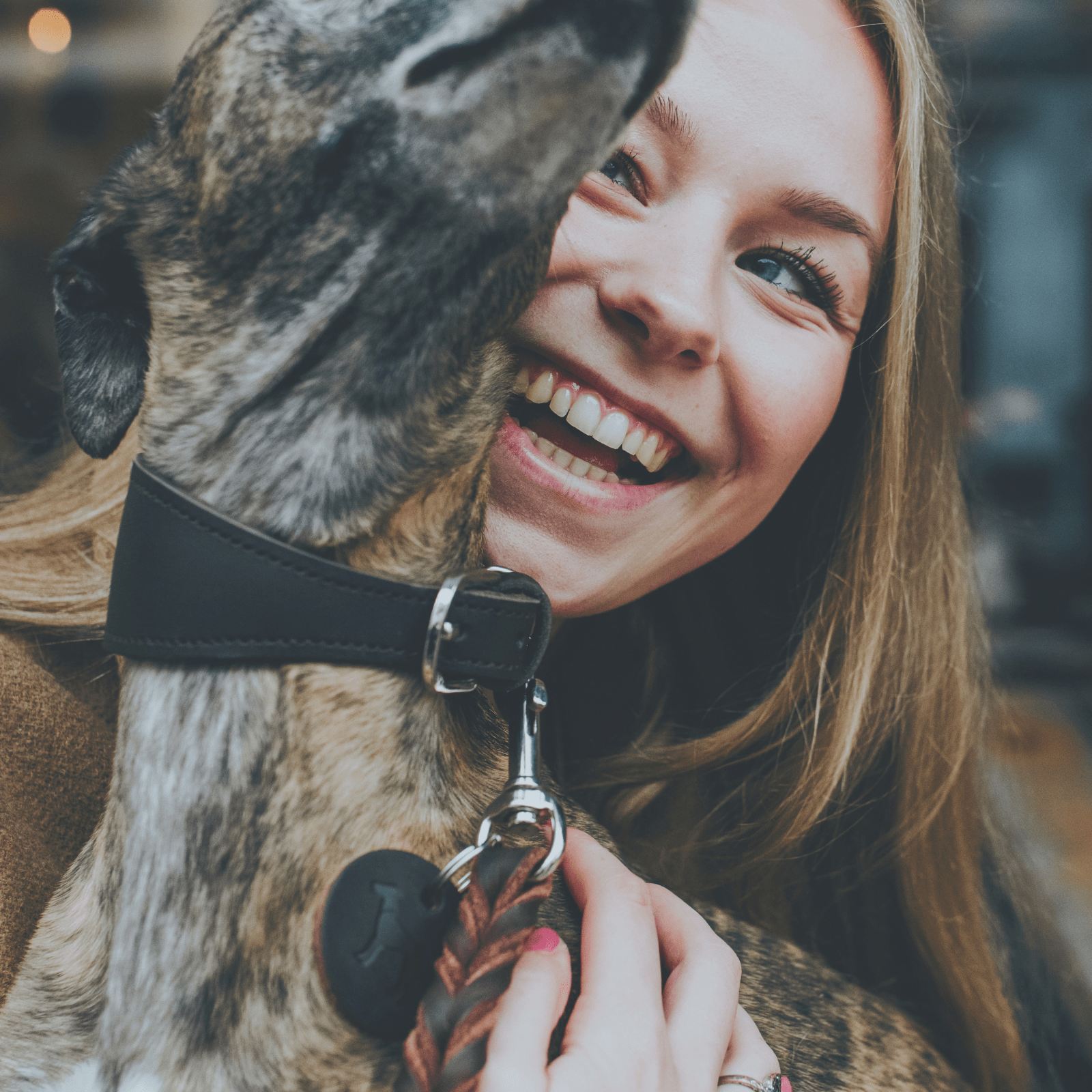 Hunter International Dog Collar Hunter Super Soft Greyhound Leather Dog Collar