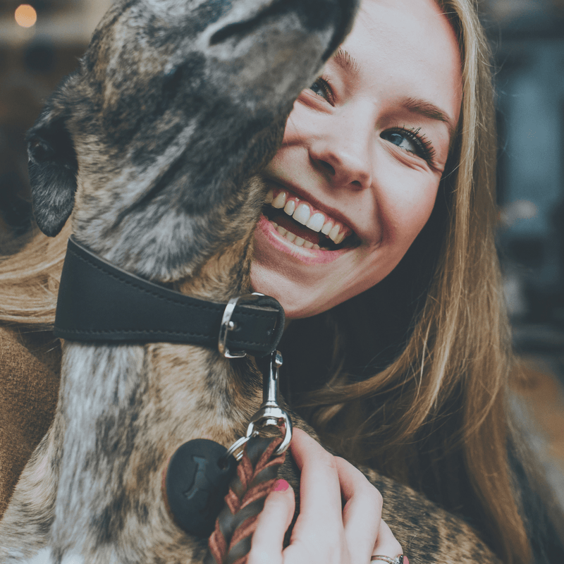 Hunter International Dog Collar Hunter Super Soft Greyhound Leather Dog Collar