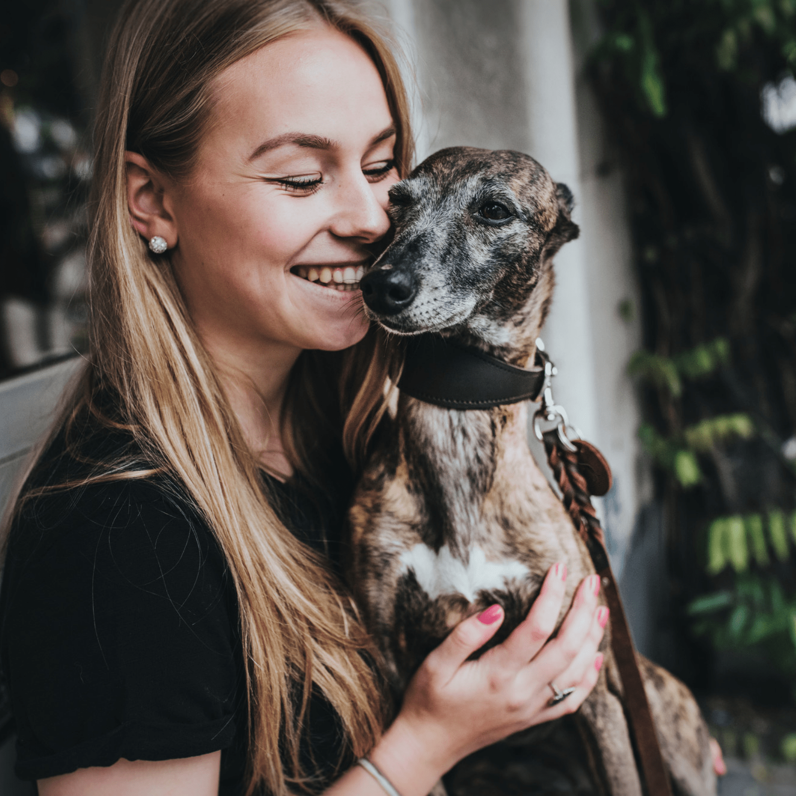 Hunter International Dog Collar Hunter Super Soft Greyhound Leather Dog Collar