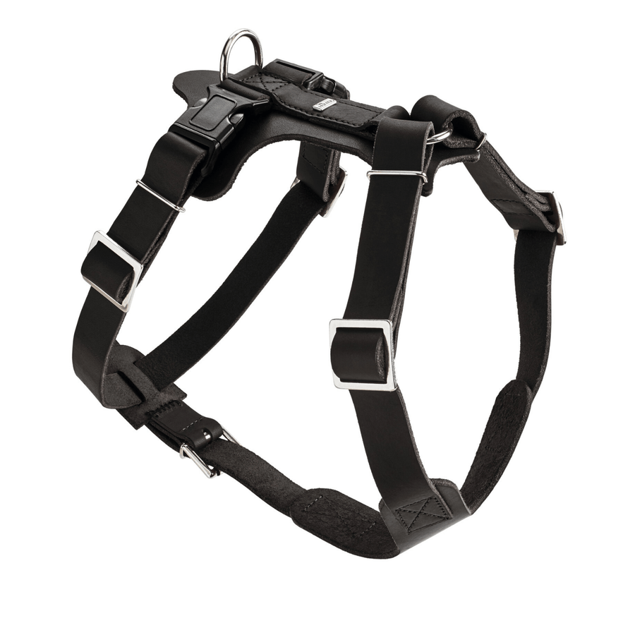 Hunter International Dog Harness Hunter Aalborg Soft Genuine Leather Dog Harness, Black
