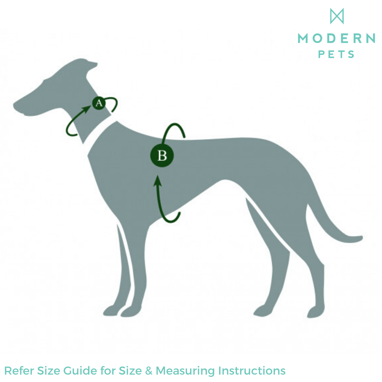 Hunter International Dog Harness Hunter Easy Comfort Dog Car Harness w/ Seat Belt Attachment