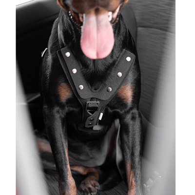 Hunter International Dog Harness Hunter Easy Comfort Dog Car Harness w/ Seat Belt Attachment