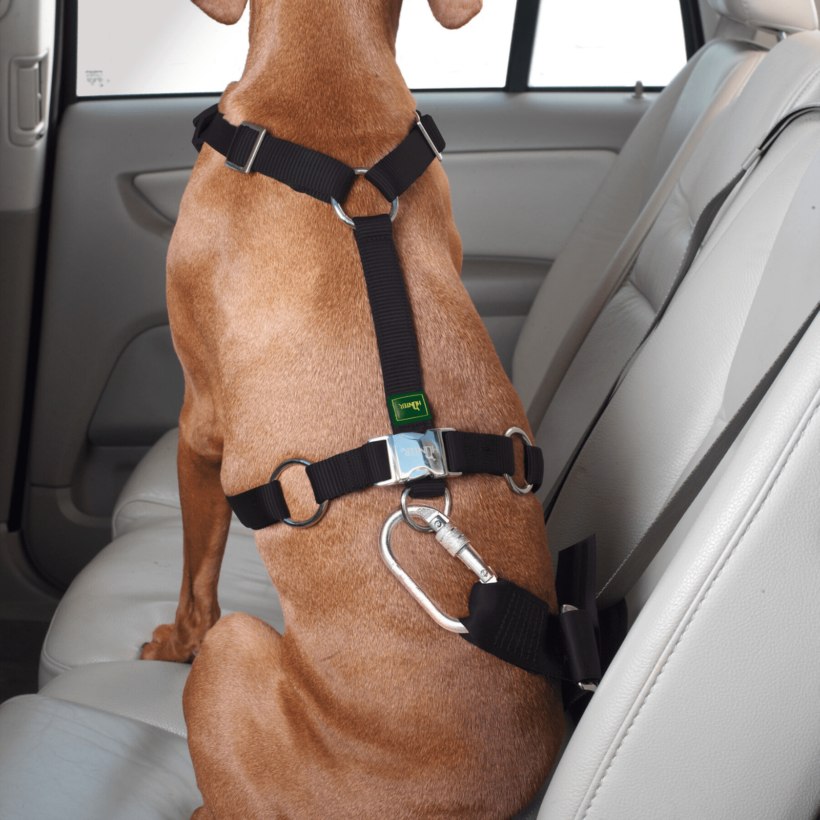 Hunter Easy Comfort Dog Car Harness w Seat Belt Attachment