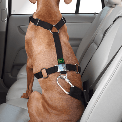 Hunter International Dog Harness Hunter Easy Comfort Dog Car Harness w/ Seat Belt Attachment