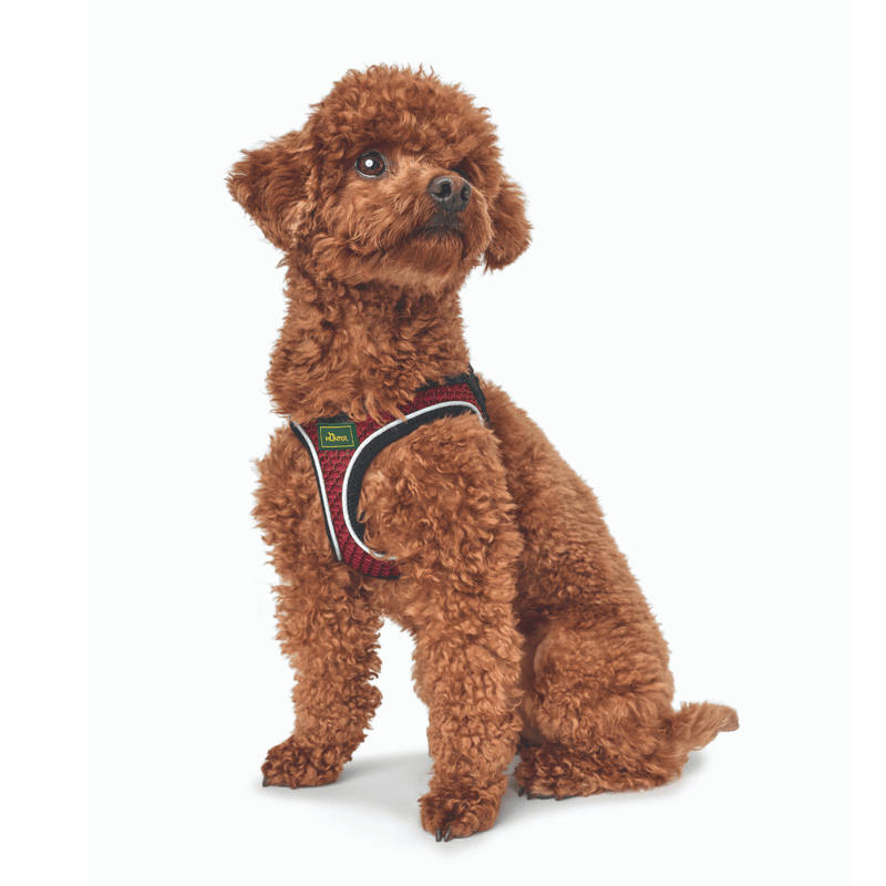 Hunter International Dog Harness Hunter Hilo Comfort Dog Harness, Red