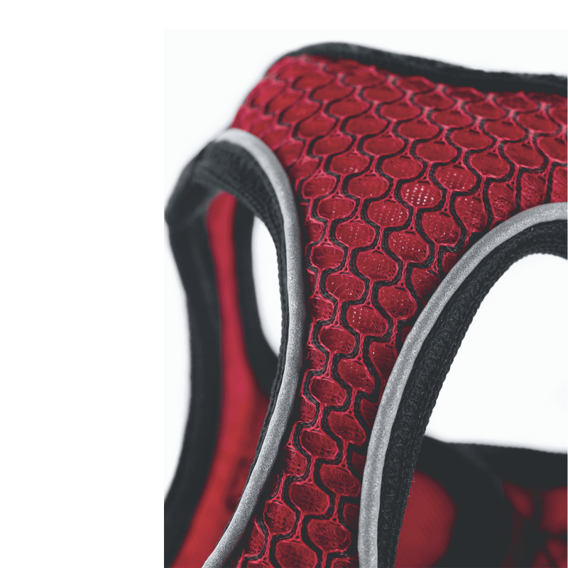 Hunter International Dog Harness Hunter Hilo Comfort Dog Harness, Red