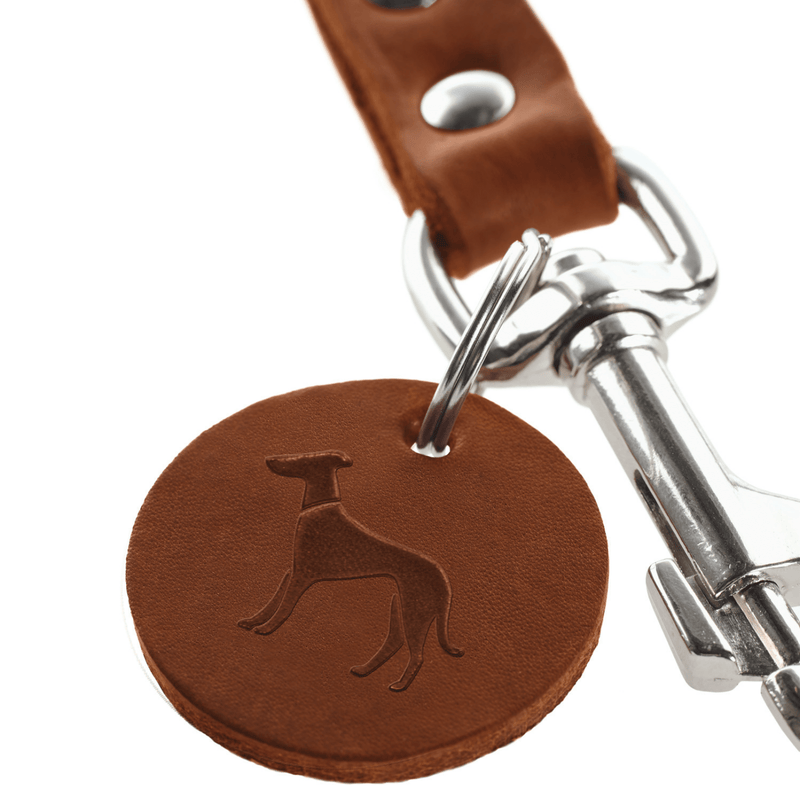Hunter International Dog Leash Hunter Aalborg Leather Dog Training Lead, 3-Way Adjustable