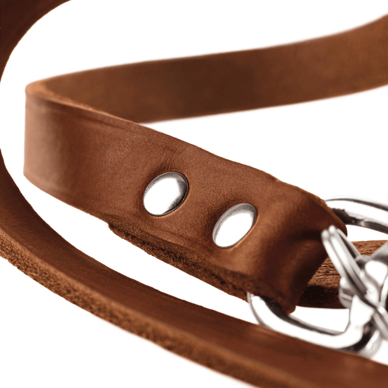 Hunter International Dog Leash Hunter Aalborg Leather Dog Training Lead, 3-Way Adjustable