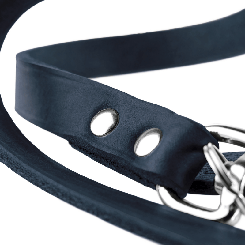 Hunter International Dog Leash Hunter Aalborg Leather Dog Training Lead, 3-Way Adjustable