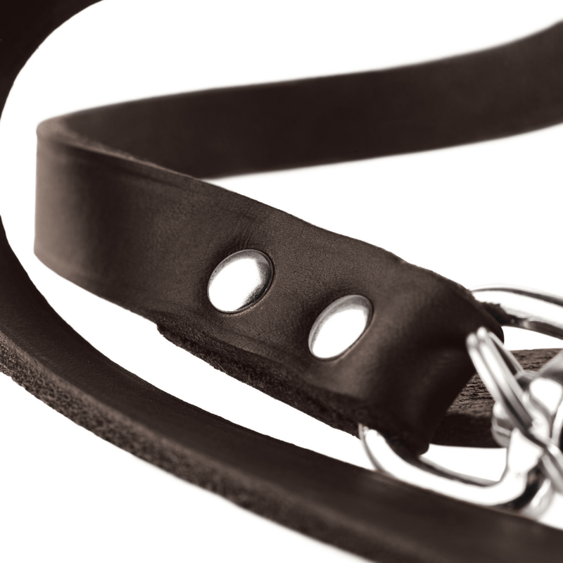 Hunter International Dog Leash Hunter Aalborg Leather Dog Training Lead, 3-Way Adjustable