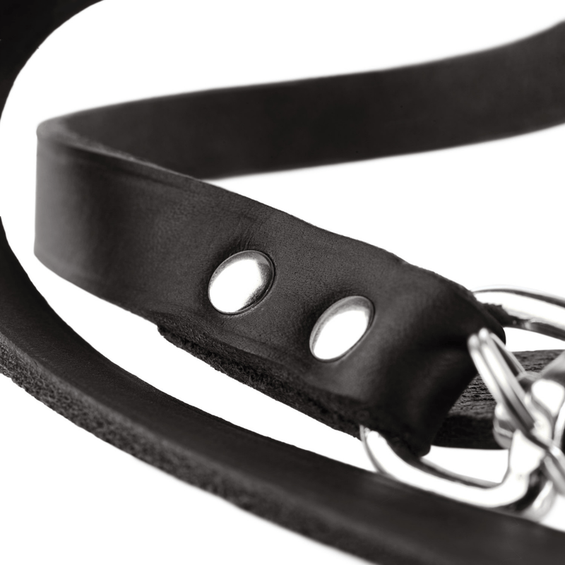 Hunter International Dog Leash Hunter Aalborg Leather Dog Training Lead, 3-Way Adjustable