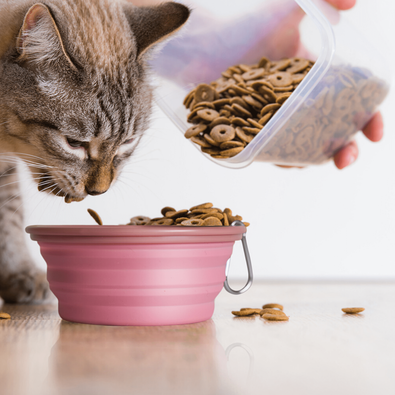 Ibiyaya Pet Bowl Ibiyaya Quick Bite Collapsible Dog Bowl, Pink