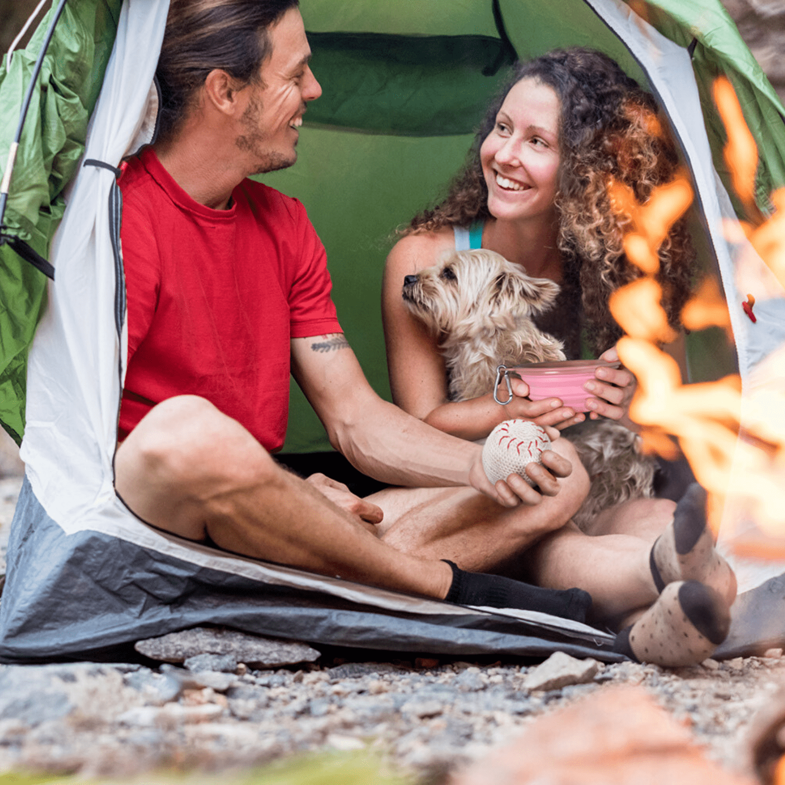 Ibiyaya Pet Bowl Ibiyaya Quick Bite Collapsible Dog Bowl, Pink
