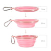 Ibiyaya Pet Bowl Ibiyaya Quick Bite Collapsible Dog Bowl, Pink