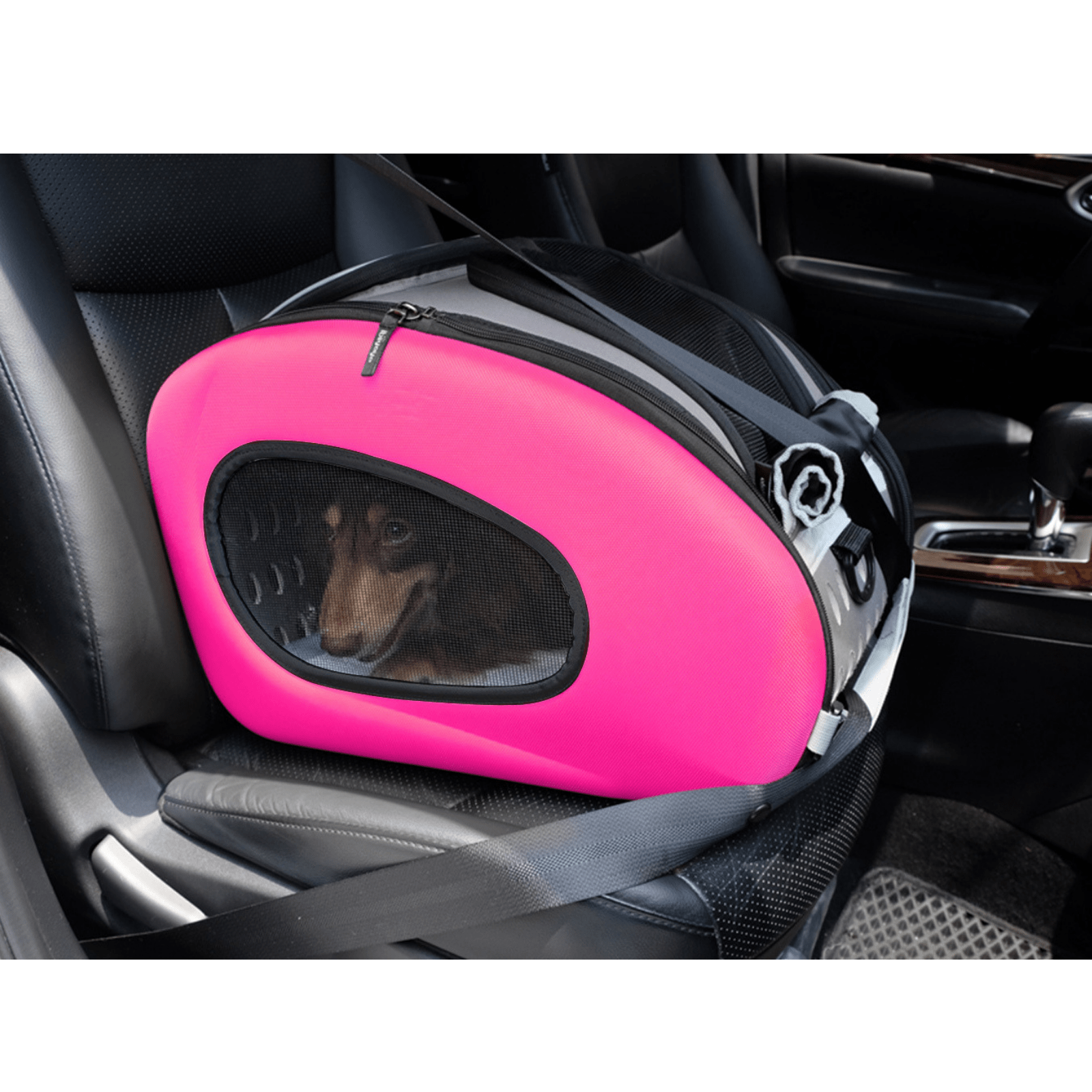 Ibiyaya Pet Carrier Ibiyaya EVA 4-in-1 Combo Pet Carrier on Wheels, Hot Pink