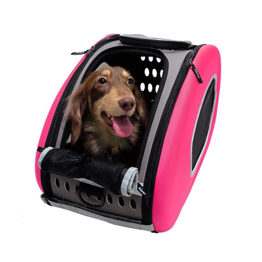 Ibiyaya Pet Carrier Ibiyaya EVA 4-in-1 Combo Pet Carrier on Wheels, Hot Pink