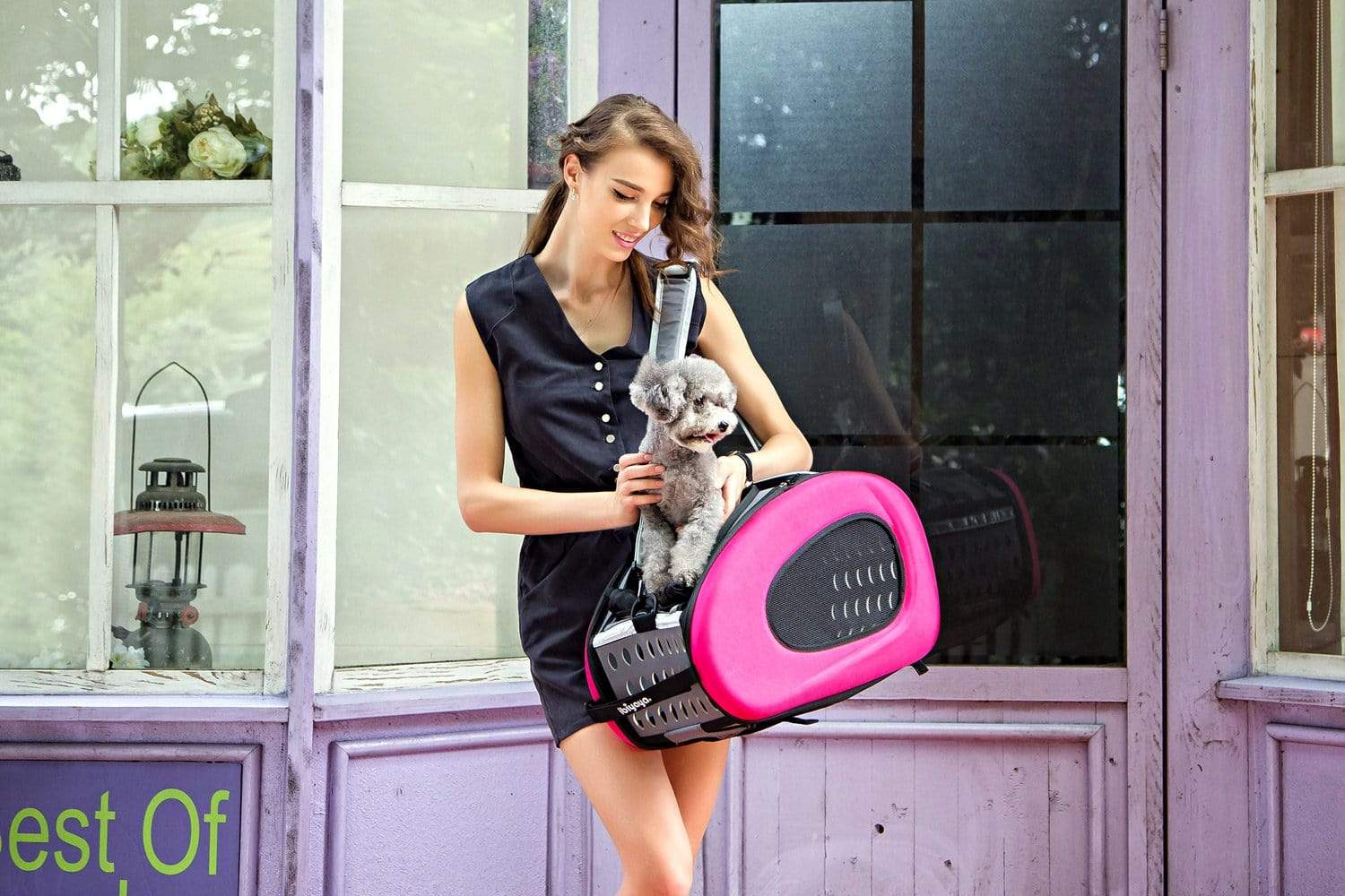 Ibiyaya Pet Carrier Ibiyaya EVA 4-in-1 Combo Pet Carrier on Wheels, Hot Pink