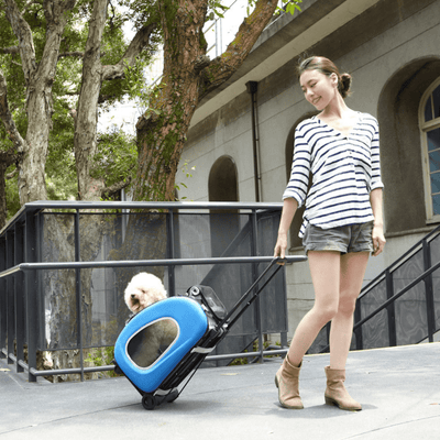 Ibiyaya Pet Carrier Ibiyaya EVA 5-in-1 Combo Pet Carrier, Pram & Backpack, Hot Pink