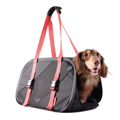 Ibiyaya Pet Carrier Ibiyaya Flying Pal Foldable Pet Travel Carrier Bag, Black/ Red
