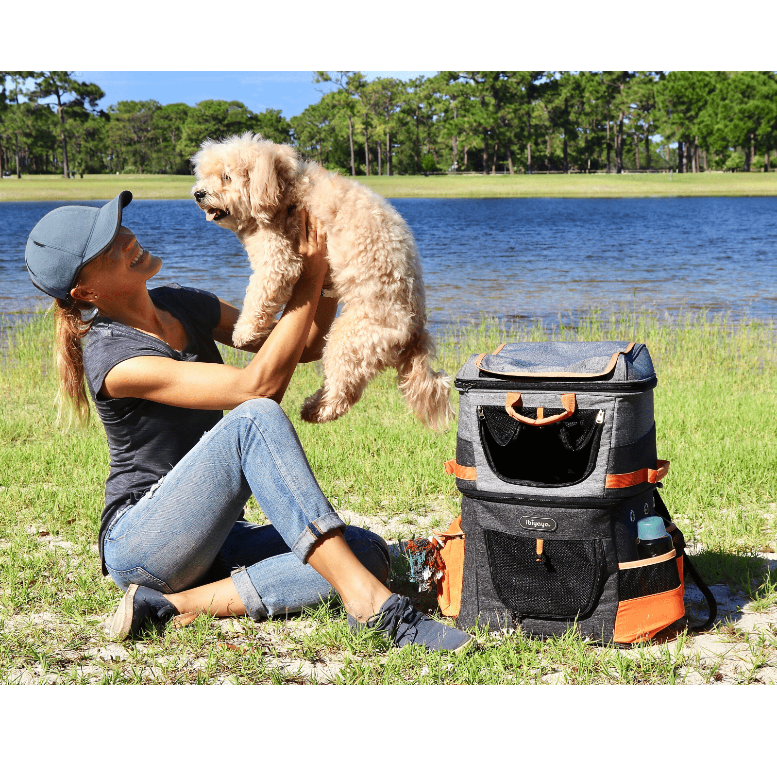 Hands free dog carrier online