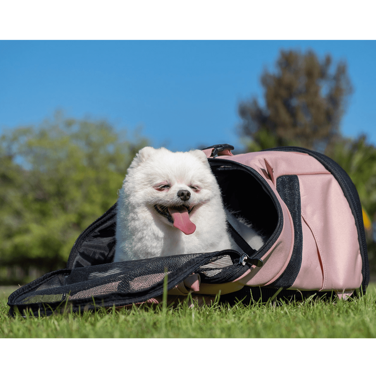 Ibiyaya UltralightPro Backpack Pet Carrier, Coral Pink Modern Pets