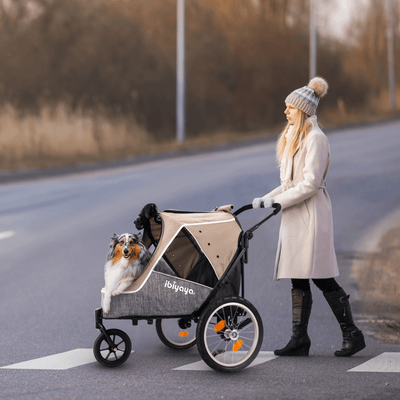 Ibiyaya Pet Pram Ibiyaya Happy Pet Trailer V2, Bike Trailer & Jogger for Dogs, Latte
