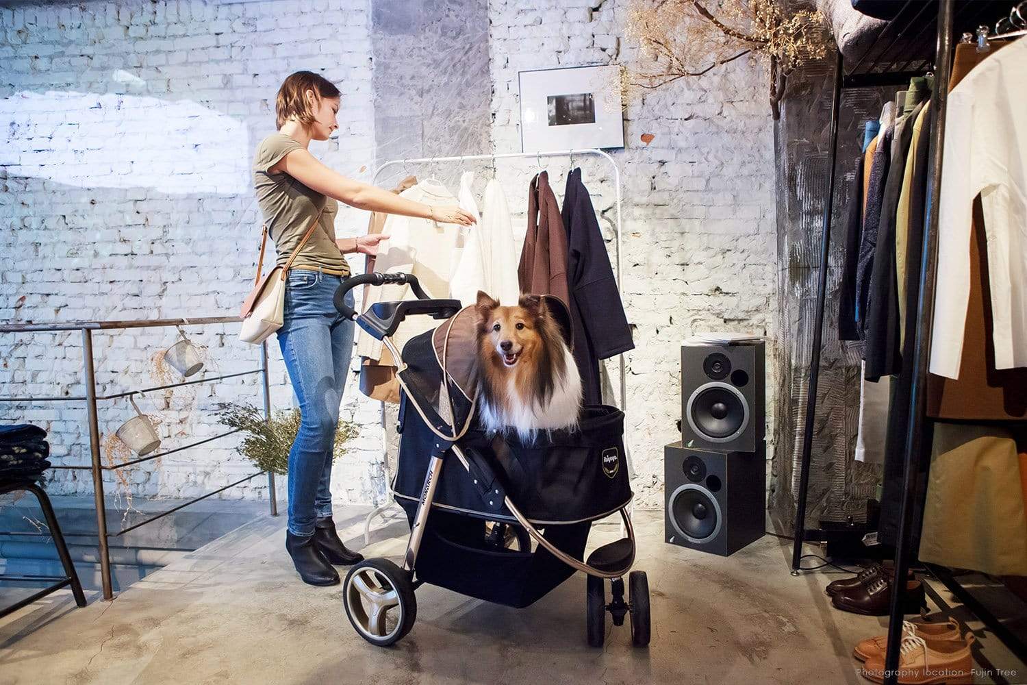 Ibiyaya Pet Pram Ibiyaya Monarch Premium Pet Jogger Stroller, Luxury Gold