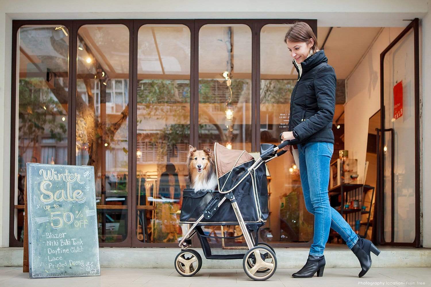 Ibiyaya Pet Pram Ibiyaya Monarch Premium Pet Jogger Stroller, Luxury Gold