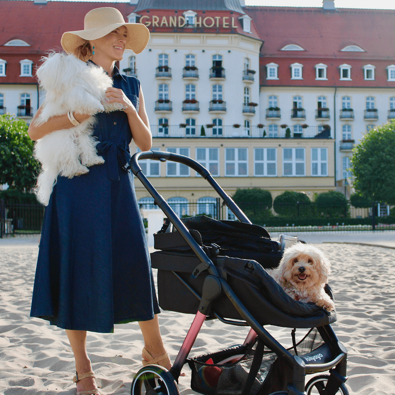 Ibiyaya Pet Pram Retro Luxe Pet Stoller for Cats & Dogs Up to 35Kg, Prism Black